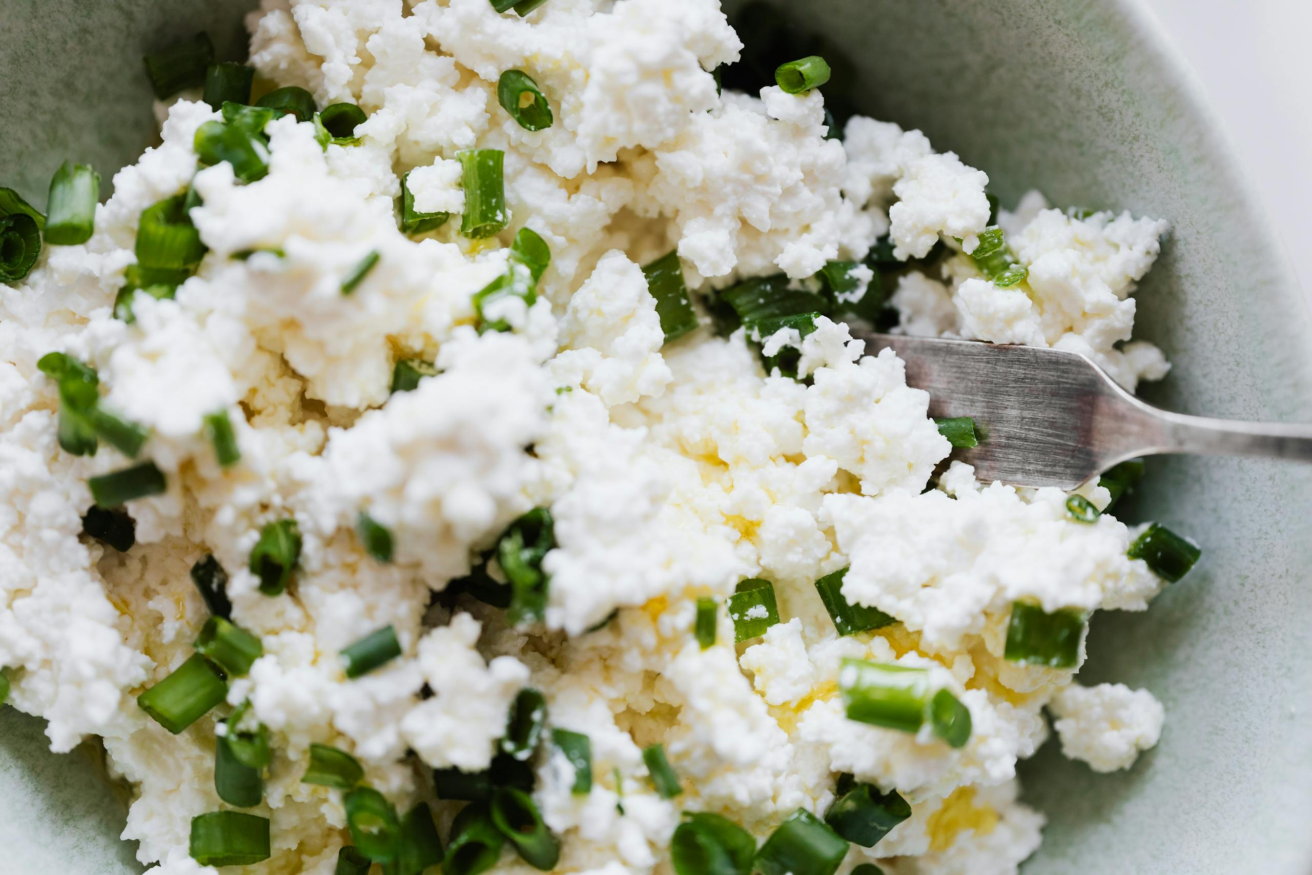 Cottage Cheese recipes